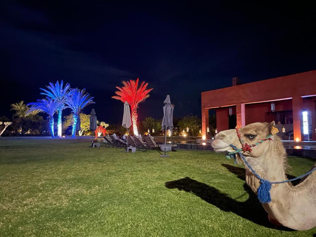 Dar Noujoum Hotell Ait Bou Zguia Exteriör bild